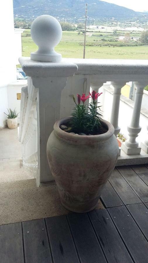 Anno Domini Bed & Breakfast Olbia Exterior photo